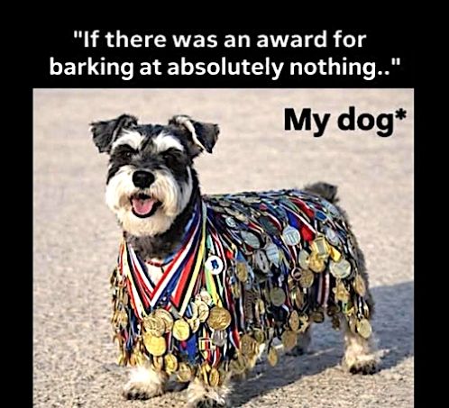 tg dog award barking.jpg